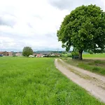 Neubau - Waldblick Apartman