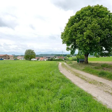 Neubau - Waldblick Lejlighed Höslwang